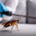 Choosing safer pesticides for a healthier living environment