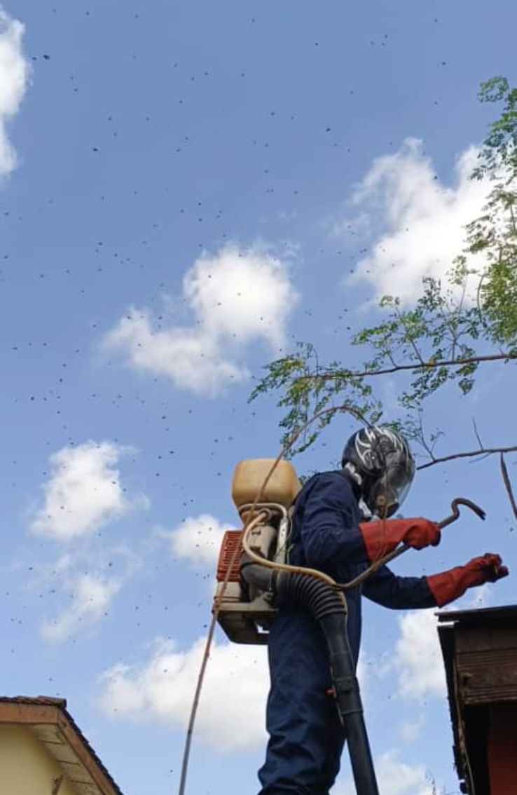 A man wearing protective equipment fumigating an open environment